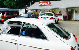 Higgies