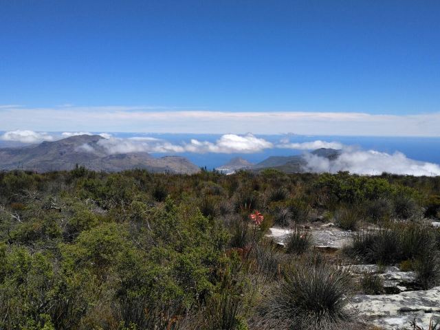 Table Mountain