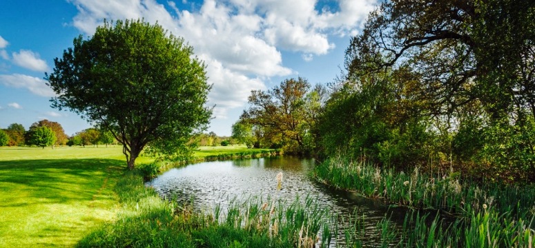 Blacknest Golf & Country Club餐厅图片