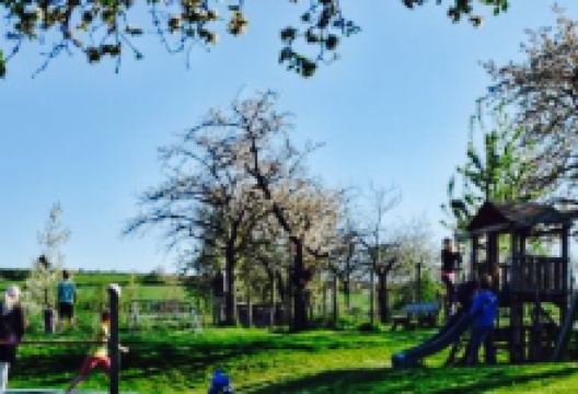 Brasserie Eyserhof美食图片