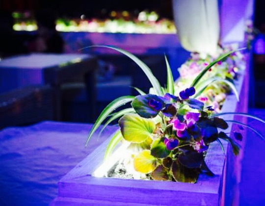 Shen Lounge Bar餐厅图片