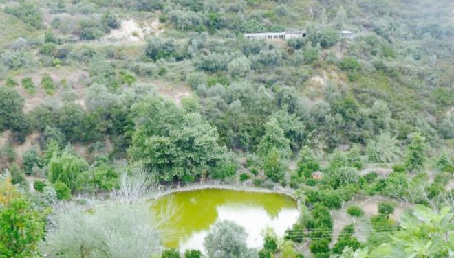 Botanical Park & Gardens of Crete Restaurant餐厅图片