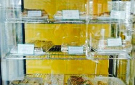 Jimmy's Pies