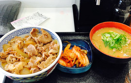 Yoshinoya Sabagawa Service Area Nobori