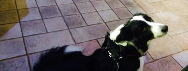 Cremeria History di Vignola餐厅图片