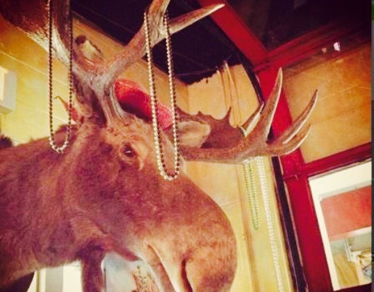 Zippy's Burritos, Tacos & More餐厅图片