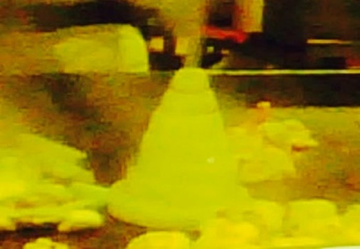 Sakura Japanese Restaurant