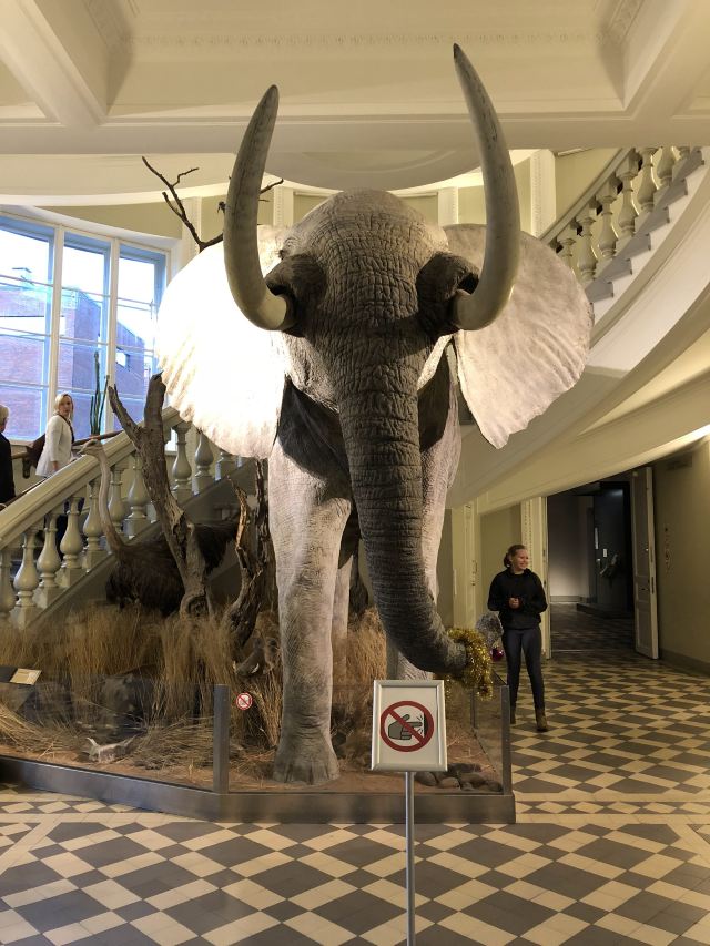 Finnish Museum of Natural History