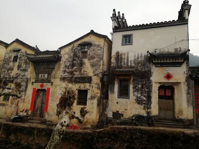 芹川村