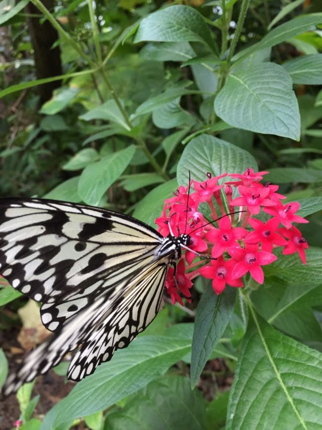 Taipei Zoo