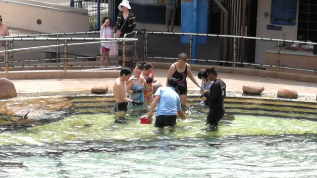 Adventure Cove Waterpark