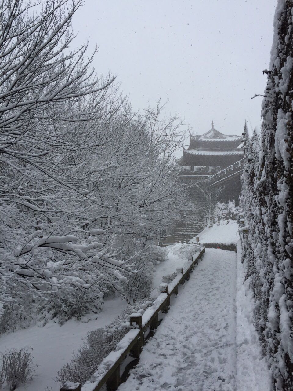 雪景