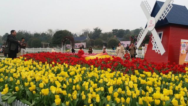 만화좡위완(만화장원)