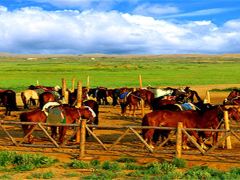 阿拉善左旗豪情二日游