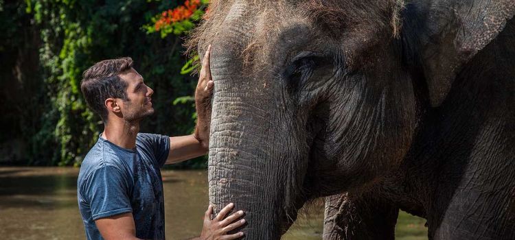 Bali Zoo Tickets Deals Reviews Family Holidays Tripcom