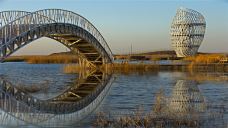 中国·水上王城巨淀湖风景区-寿光-doris圈圈