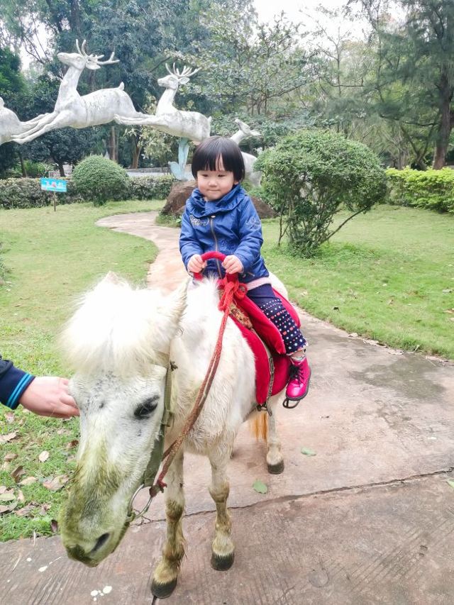 Jinniuling Park