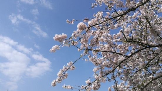 Nokonoshima Island Park