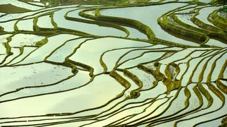 我和春天有个约