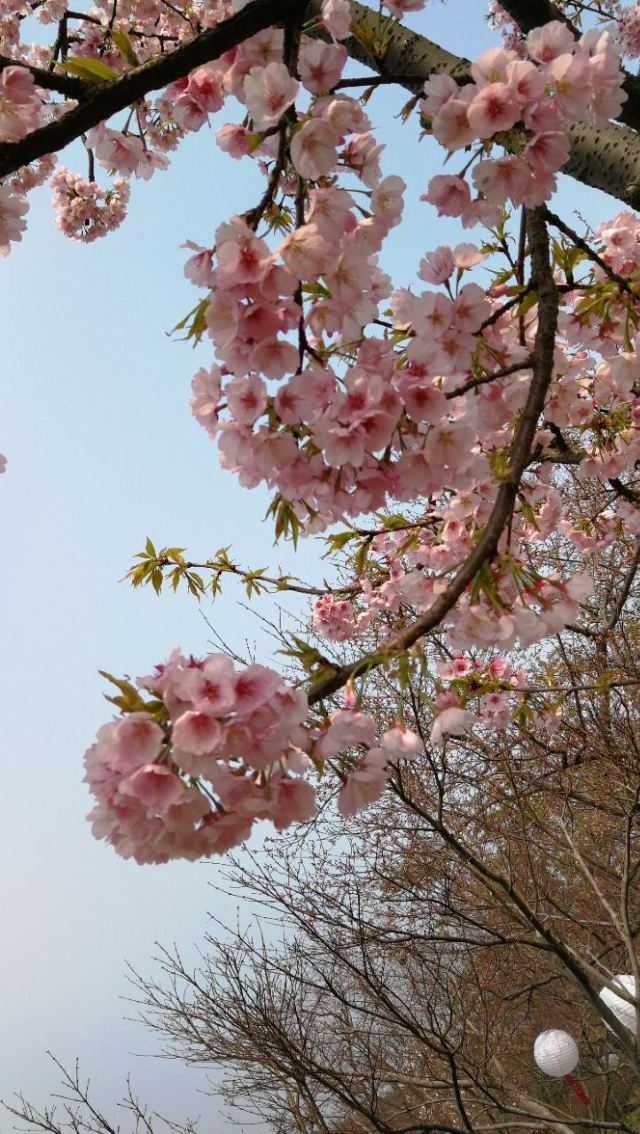 원두저(위안터우주)