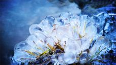 小沟背风景区-济源-doris圈圈