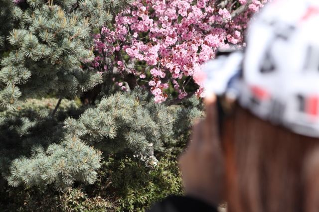 츠산 관광단지