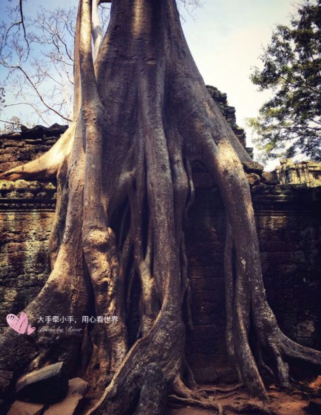 Ta Prohm