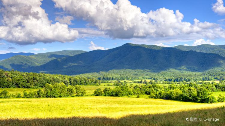 4-Day Summer Tour from New York · Luray Caverns, Great Smoky Mountains, New River Gorge and Shenandoah