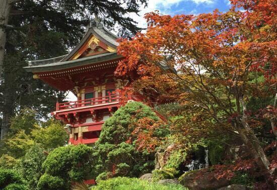 Japanese Tea Garden