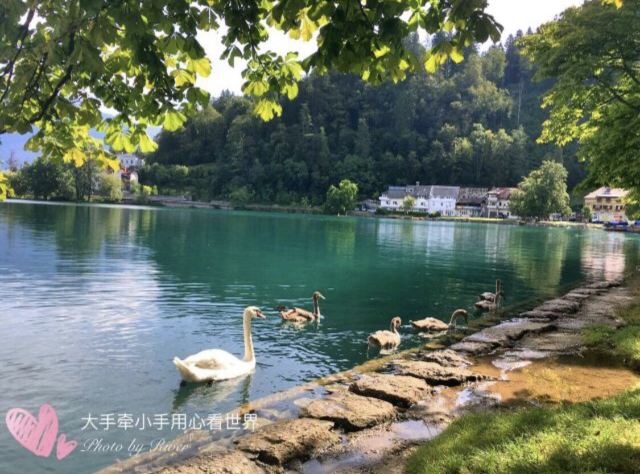 Lake Bled
