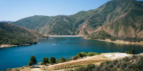 洛杉磯國家森林