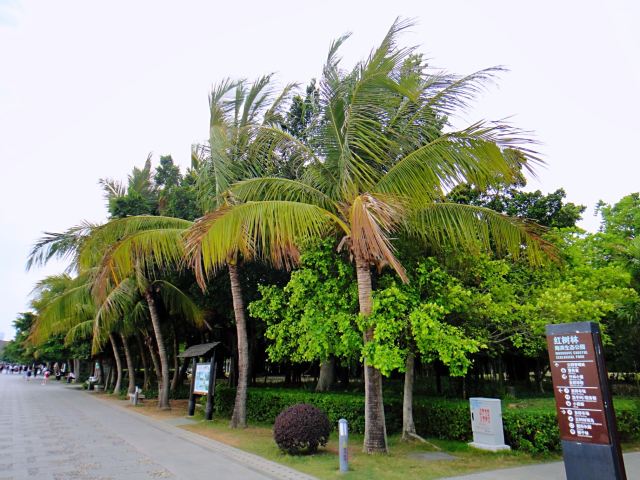 Shenzhen Mangrove Nature Reserve