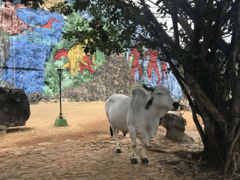 Mural de la Prehistoria