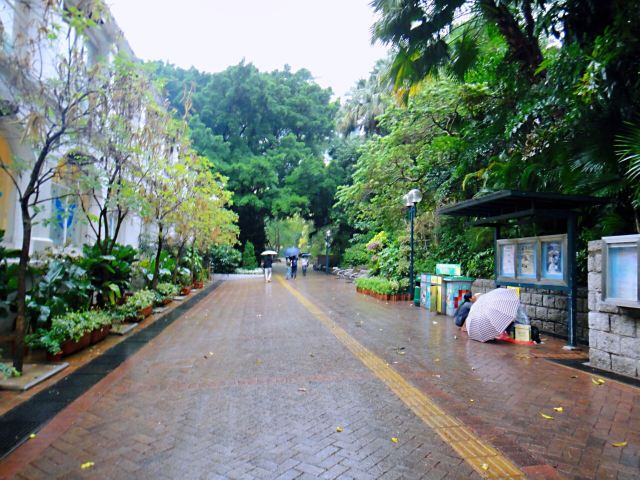 Kowloon Park