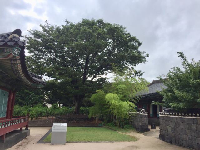관덕정