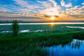 1-Day Daqing Tour: Explore the Oil City's History, Longfeng Wetland's Natural Beauty