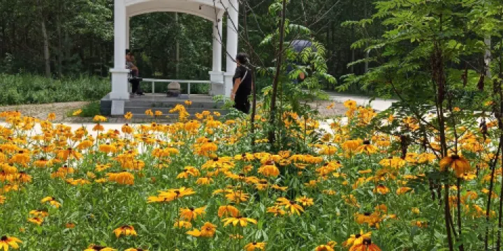 綏化市森林植物園