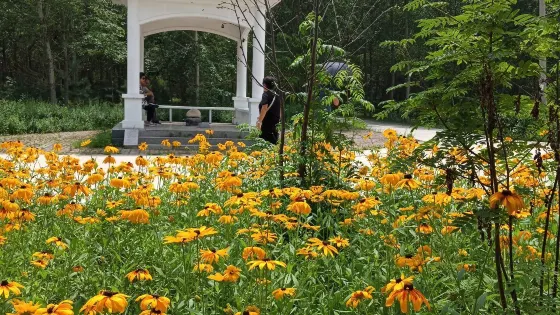 綏化市森林植物園