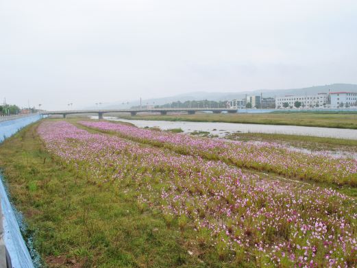 山西静乐汾河川国家湿地公园