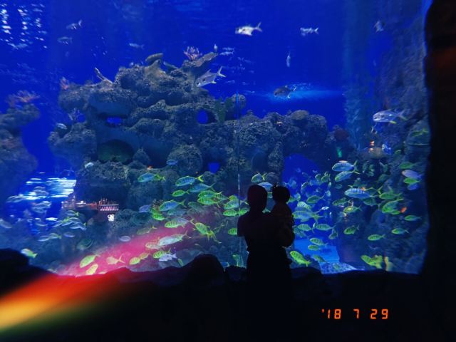 新華聯大白鯨海洋公園