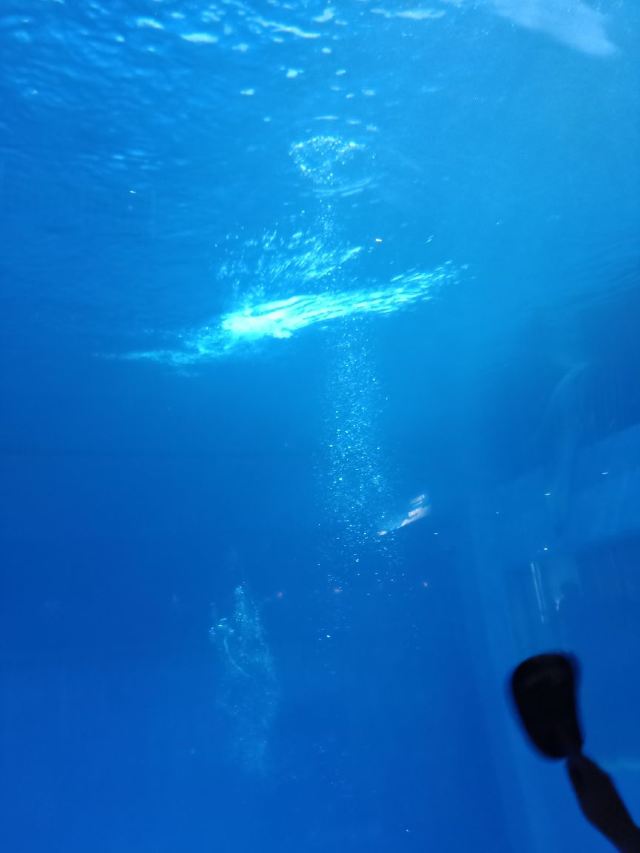 Qujiang Polar Ocean Park