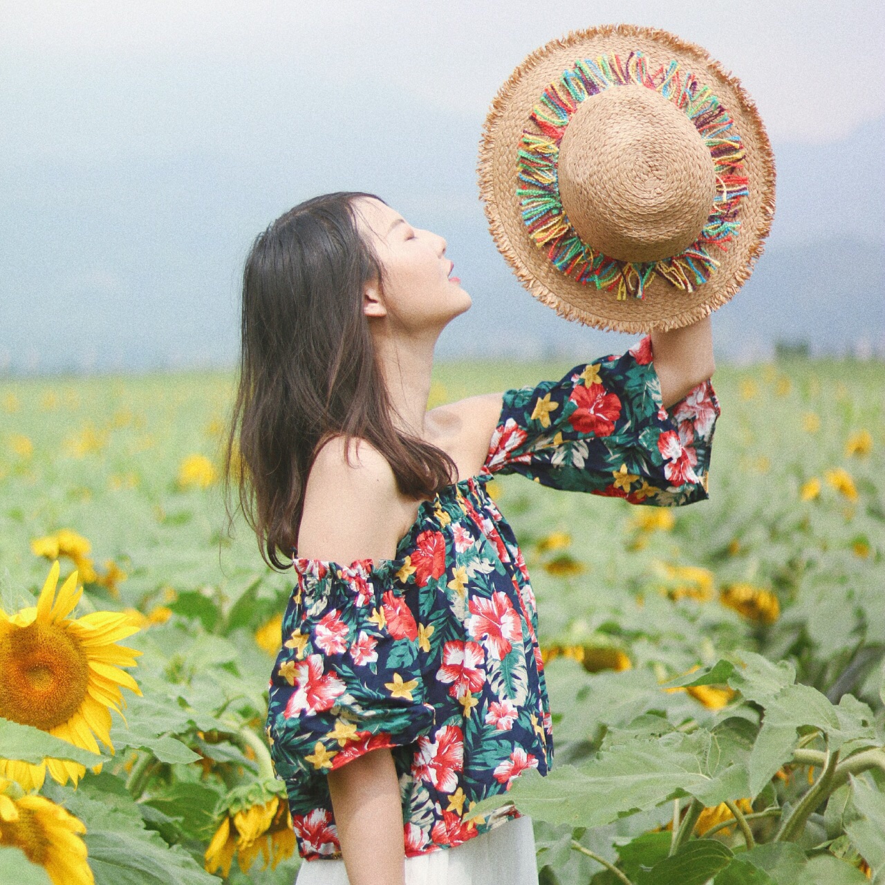 sunflowers