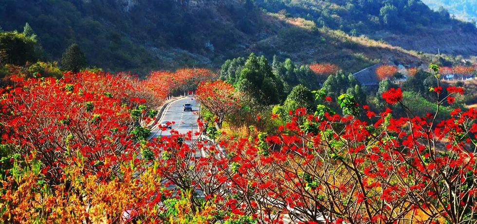 永安旅遊