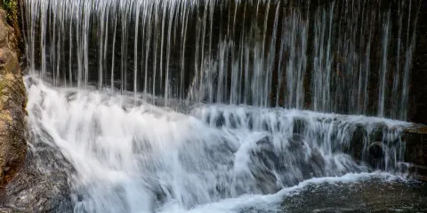 大奇山國家森林公園