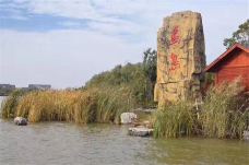 潘安湖国家湿地公园鸟岛动物园-徐州