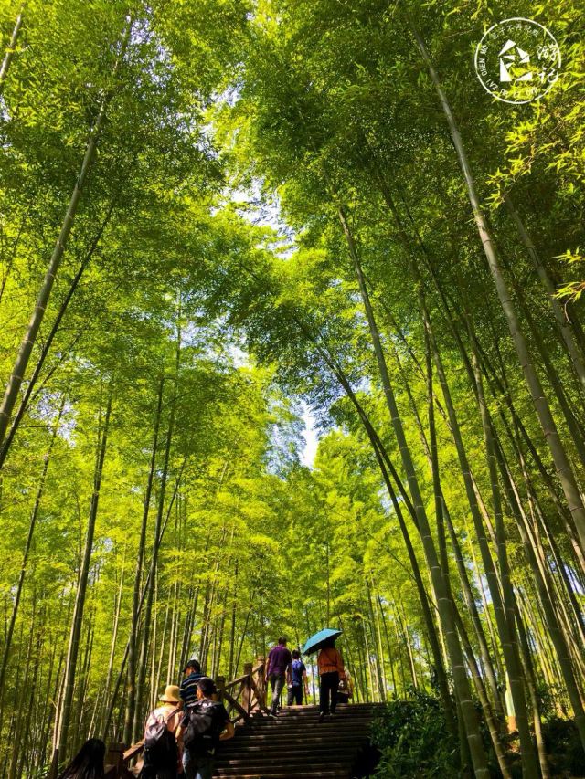 Tianmu Lake Scenic Area