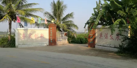 彩橋紅樹林自然保護區