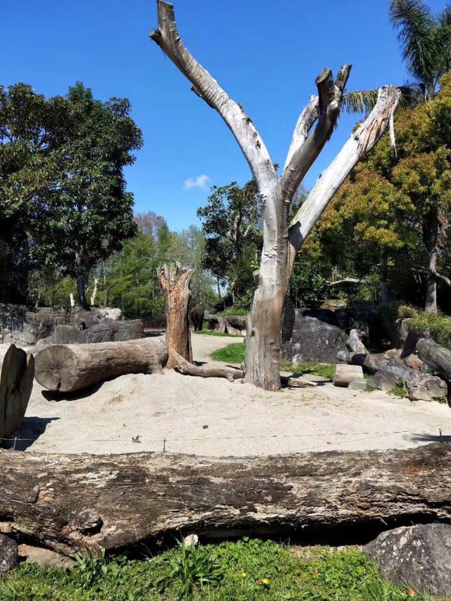 Auckland Zoo