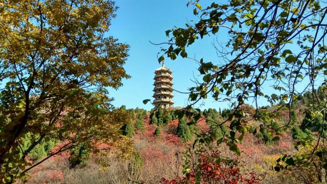 홍엽곡