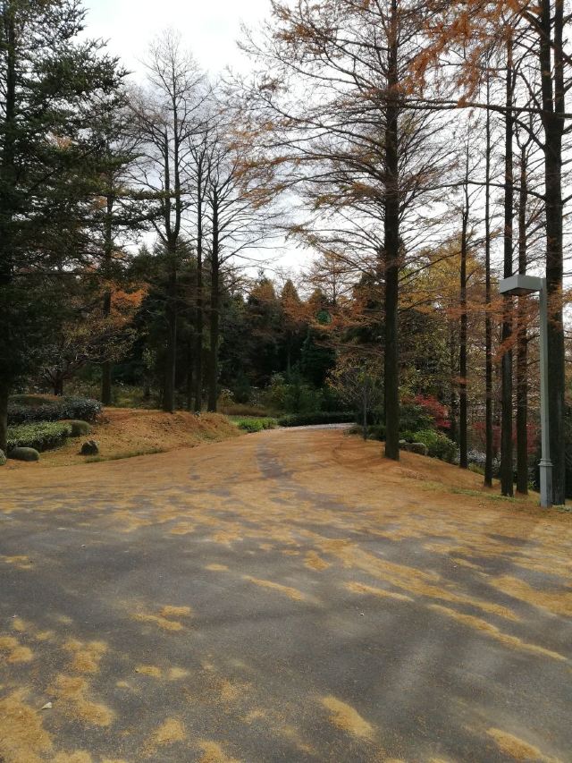 쓰밍산 국립삼림공원